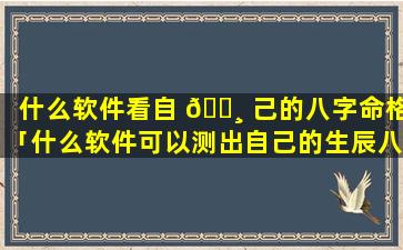 什么软件看自 🕸 己的八字命格「什么软件可以测出自己的生辰八字」